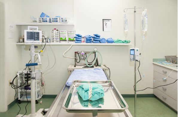 Our Surgical Suite Our Surgical Suite