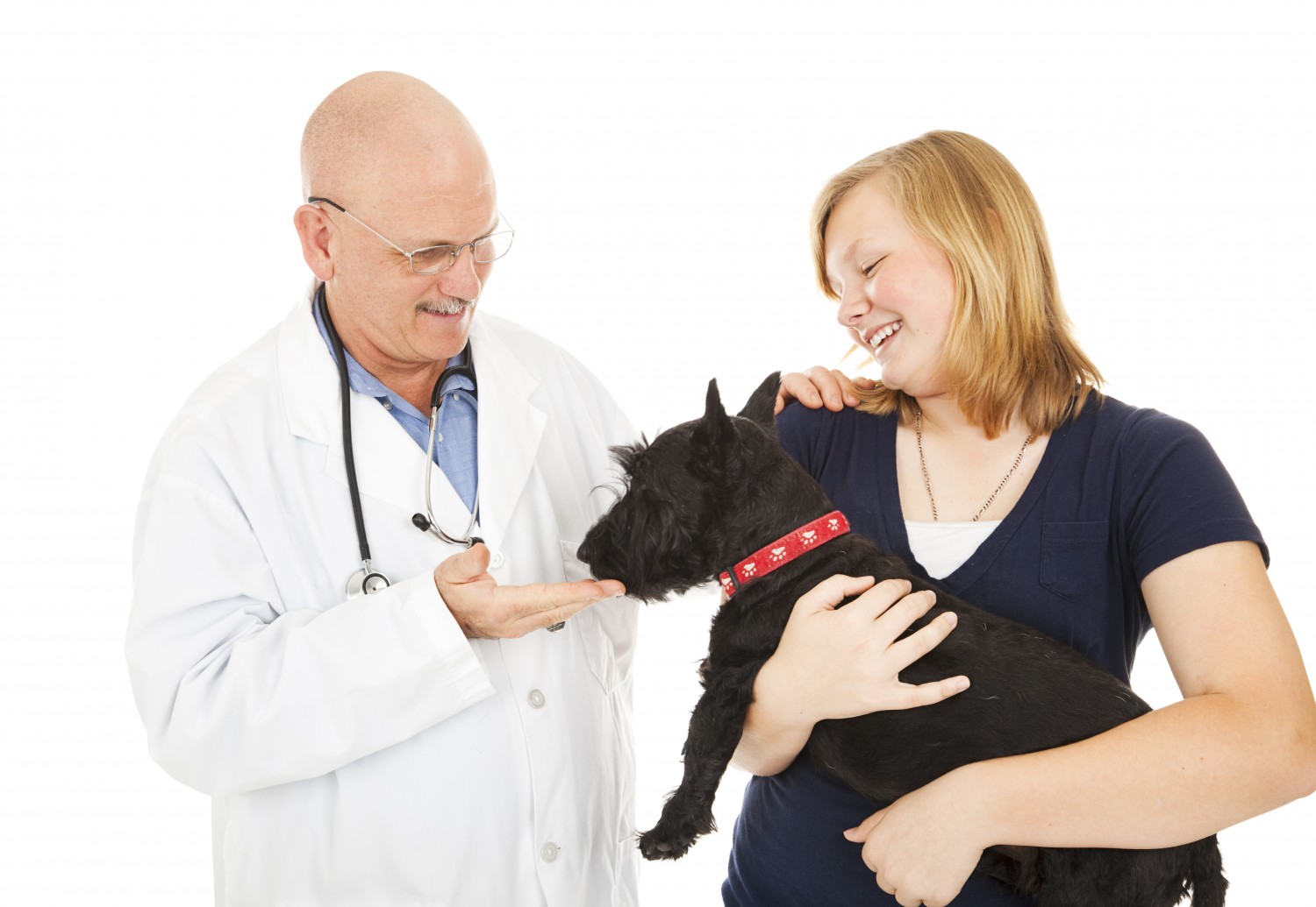 Vet Holding Dog