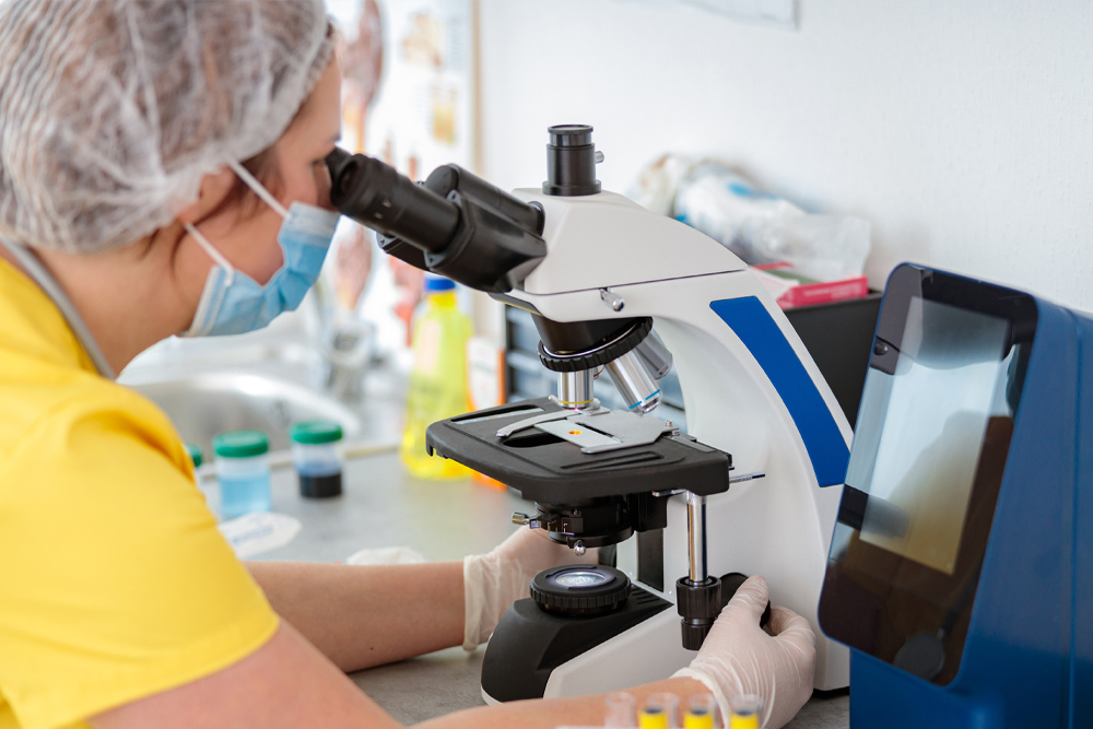 Laboratory - Staff Member Viewing Microscope